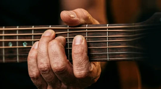 Close-up of musician's hands performing precise finger movements on musical instrument demonstrating coordination and technique