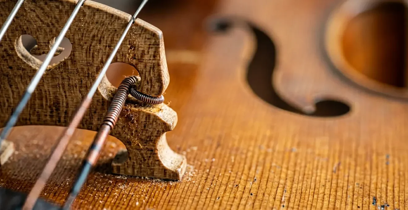 Professional close-up photograph of a violin or cello showing the bridge, strings, and fine wood grain detail with natural lighting