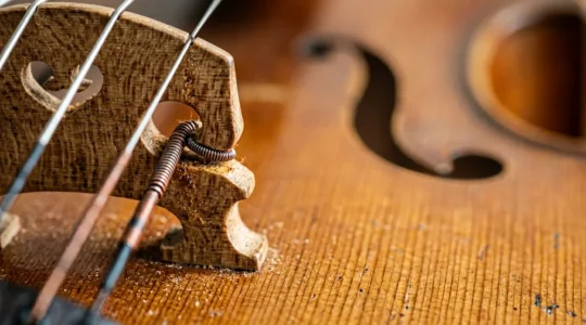 Professional close-up photograph of a violin or cello showing the bridge, strings, and fine wood grain detail with natural lighting