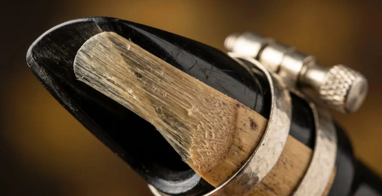 Macro detail of wind instrument mouthpiece and reed mechanism