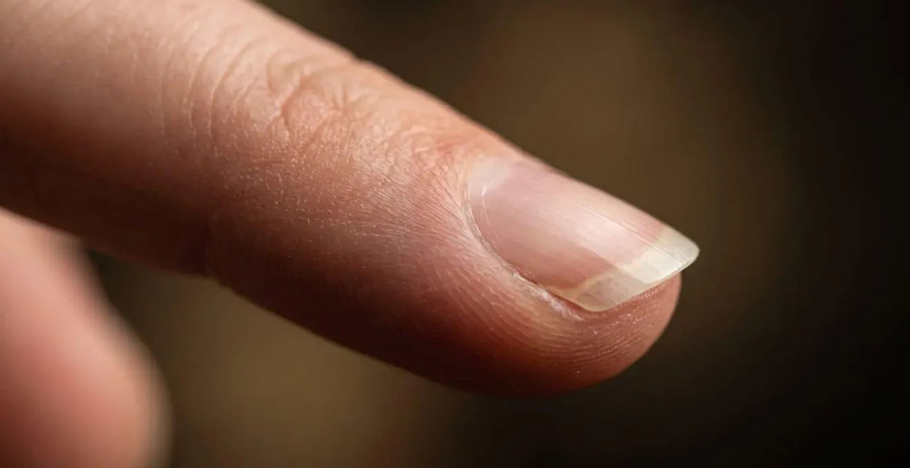Extreme macro detail of classical guitarist fingernail showing precise ramp-shaped edge and polished surface texture