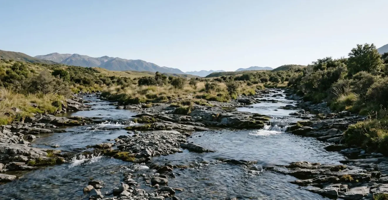 Wide environmental shot showing layered natural elements creating visual polyphony